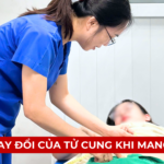 SỰ THAY ĐỔI Ở TỬ CUNG KHI MANG THAI Ảnh minh họa
