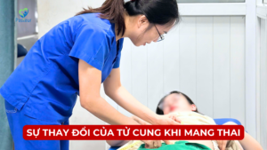 SỰ THAY ĐỔI Ở TỬ CUNG KHI MANG THAI Ảnh minh họa