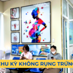 CHU KỲ KHÔNG RỤNG TRỨNG Ảnh minh họa