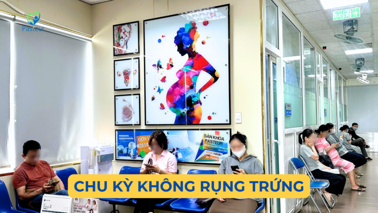 CHU KỲ KHÔNG RỤNG TRỨNG Ảnh minh họa